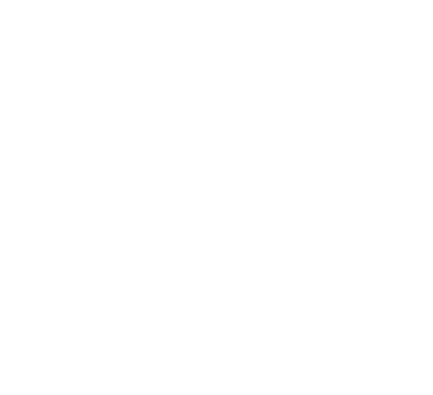About - ARPi Belgium